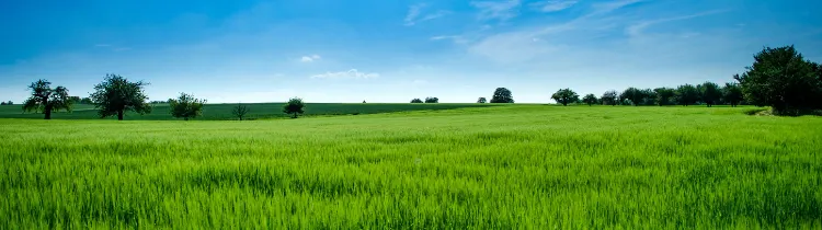 What Investors Should Know About Sub-Dividing Land in Texas