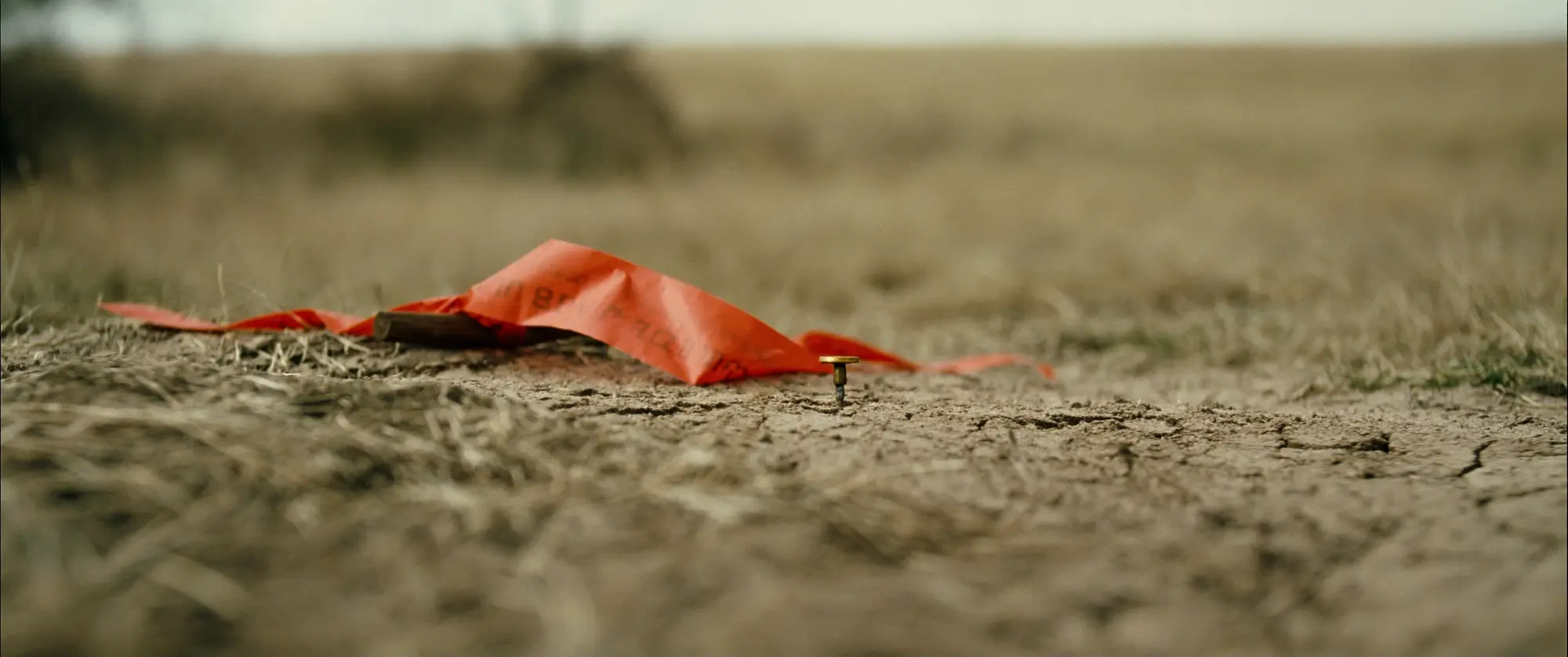 A surveyor's pin and orange flagging tape marking a boundary in dry Texas ground.