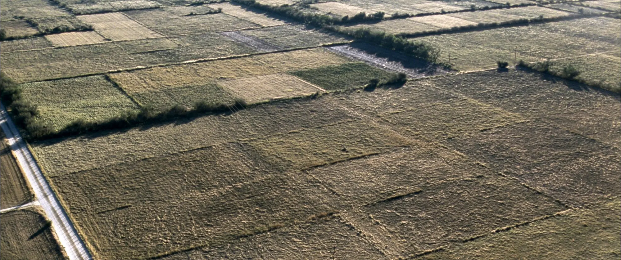 Aerial view of flat Texas farmland divided into rectangular parcels by tracks and fence lines.
